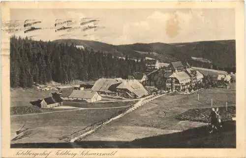 Feldbergerhof Feldberg Schwarzwald -555838