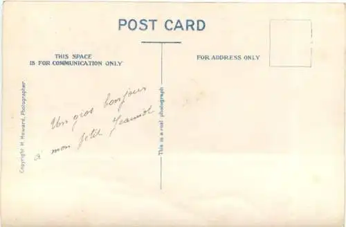 Aden - Camel Passenger on Board -697766