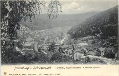 Neuenbürg i. Schwarzwald Turnhalle, Bügeleisenfabrik, Wildbader Strasse -555994
