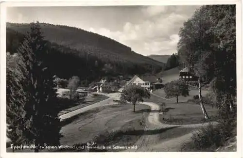 Eyachmühle zwischen Wildbad und Herrenalb -556046