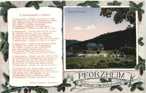 PFORZHEIM Schwarzwaldpforte -556088