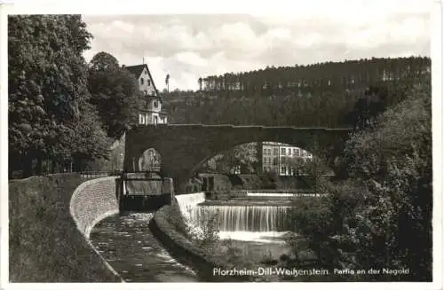 Pforzheim-Dill-Weesenstein. Pearlie an der Nagold -555898