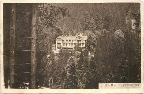 ST. BLASIEN... VILLA KEHRWIEDER. -556160
