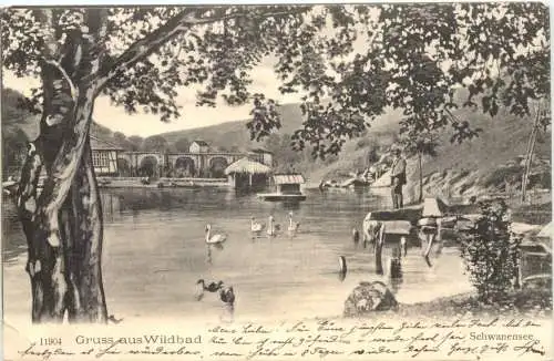 Gruss aus Wildbad Schwanensee -556244