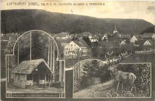 LUFTKURORT DOBEL, 720 M . M. ZWISCHEN WILDBAD URRENALB. -556324