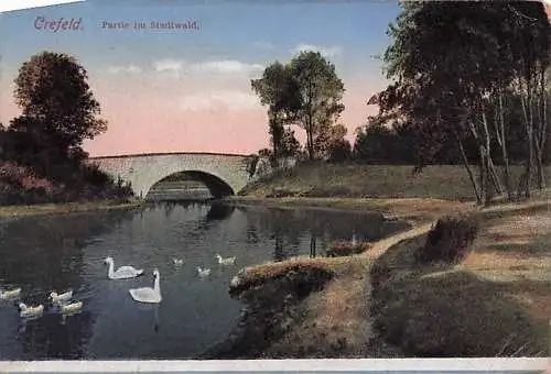 Krefeld, Stadtwald-Partie am Weiher -793038