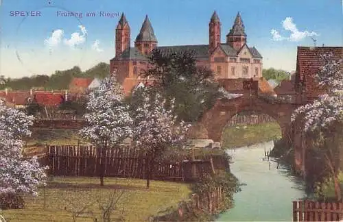 Speyer Rhein Riegel und Dom Kat. Speyer -792950