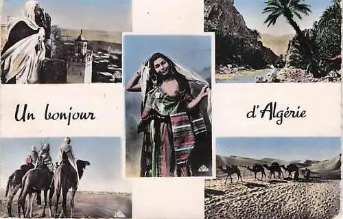 Hallo aus Algerien -792982