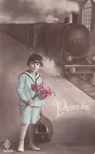 Pensée B 223/4 -793234