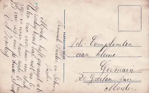 Pensée B 223/4 -793234