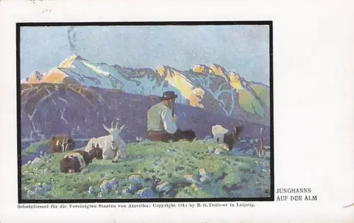 Junghanns - Auf der Alm - Goat Ziegen -793518