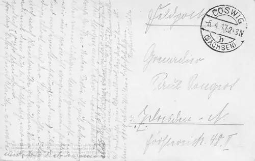 Junghanns - Auf der Alm - Goat Ziegen -793518