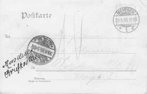 Lithographie Meissen, Dom, Geipelburg, Panorama m. Dampfer -793608