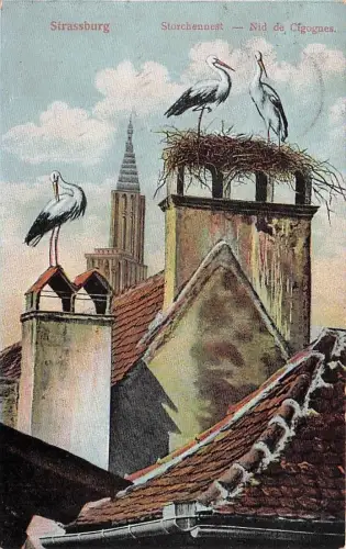 AK Strassburg, Strasbourg, Nid de Cicogne 1910/20er -793746