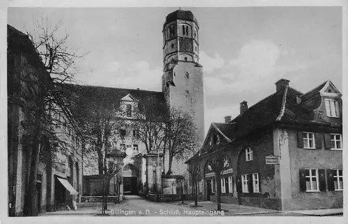 Dillingen a. Donau, Blick auf das Schloss -794014