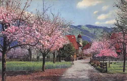 AK Frühling Steinach im Kinzigtal im Schwarzwald -794048