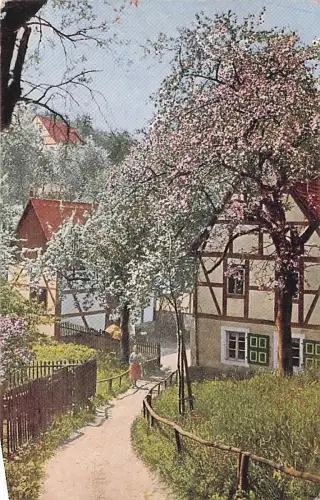 Blühender Baum in einer Ortschaft -794346