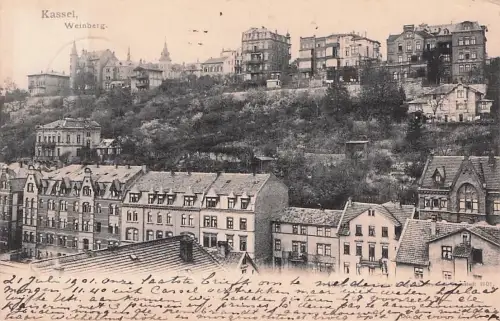 Ak Kassel in Hessen, Weinberg, Teilansicht -794488