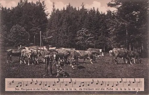 Des Morgens in der Frühe -794508