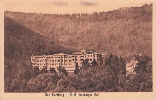 Bad Harzburg Hôtel Harzburger Hof - -794386