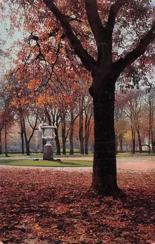 Dresden - Grosser Garten im Herbst -794284