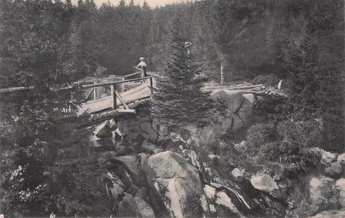 AK Schierke 1913 Partie am Eckerloch / Harz Brocken Braunlage -794518