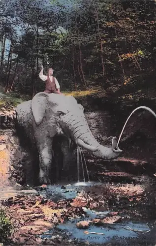 Zürich - Partie am Elephantenbach -794364