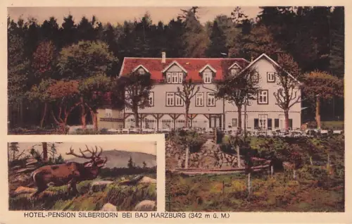 HOTEL-PENSION SILBERBORN BEI BAD HARZBURG (342 m ü. M.) -794578