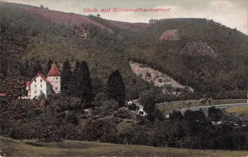 Ansichtskarte Neckargemuend Kuemmelbacherhof Neckargemuend -794580