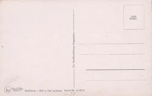 German Soldier Holding Rifle Comic Zarlog Vintage Postcard -794710