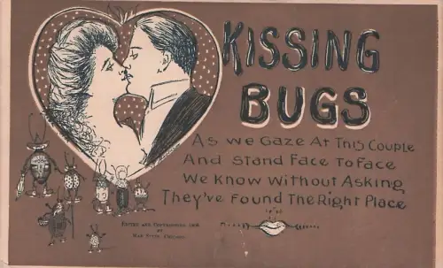 ANTIKES „KISSING BUGS“-POSTKARTENBUCH VON 1908 – NEUHEITEN-GRUSS VON MAX -794608