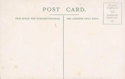 A LIVELY LOAD. XRE -794870