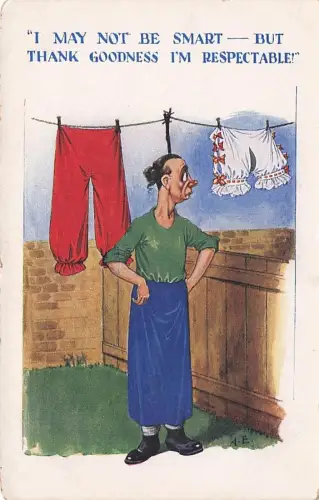 "I MAY NOT BE SMART - BUT THANK GOODNESS I'M RESPECTABLE! -794844