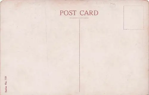 "I MAY NOT BE SMART - BUT THANK GOODNESS I'M RESPECTABLE! -794844