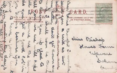 How Many Donkey's are there on the -794848