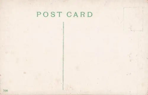 ADAM, I MUST HAVE A NEW DRESS. -794838