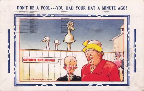DON'T BE A FOOL---YOU HAD YOUR HAT A MINUTE AGO! -795000