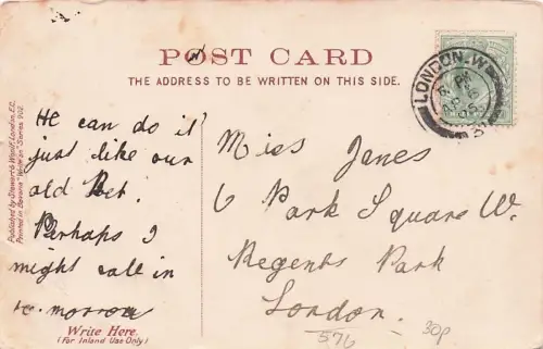 Dutch Gourage -795060