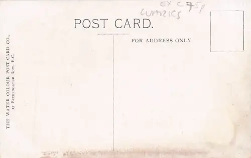 Warwick Pageant: King Carudoc. -795288