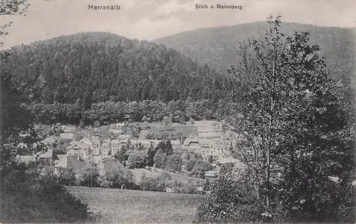 Herrenalb Beschreibung: Blick v. Maienberg -795506