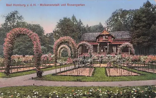 Bad Homburg Molkenanstalt Rosengarten -795896