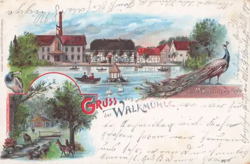 Mülheim Gasthaus Walkmühle Gondelteich Schwäne Rehe Pfaue -796022