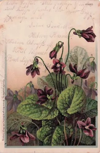 Kunstien pestkarte, Bruno Burger & Othille, Lith. Anst Leipzig -795948