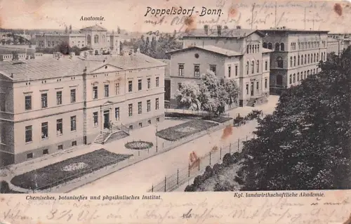 Bonn Rhein Bonn Poppelsdorf x / Bonn /Bonn Stadtkreis -796014