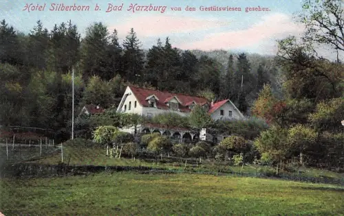 Ansichtskarte Bad Harzburg Hotel Silberborn von den Gestütswiesen 1915 -796038