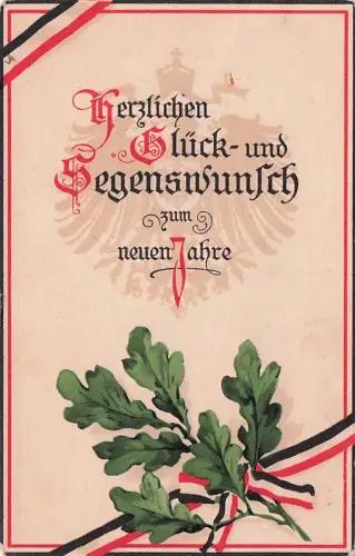AK Eichenzweigen und Fahnenband, Neujahrsgruß -796206