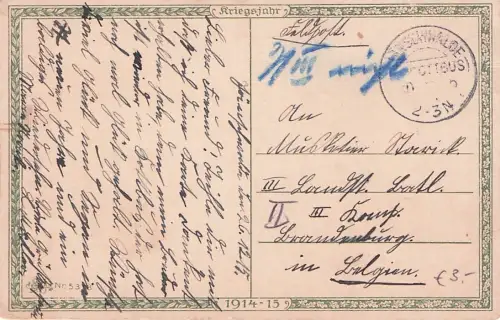 AK Eichenzweigen und Fahnenband, Neujahrsgruß -796206