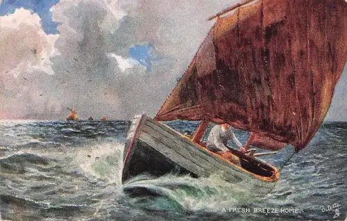 A FRESH BREEZE HOME -796198