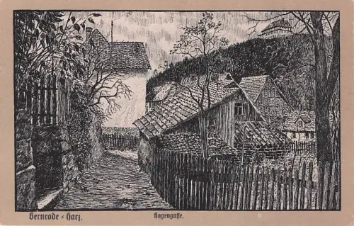Künstler Ak Gernrode Quedlinburg im Harz, Hagengasse -796390