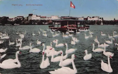 AK Hamburg, Schwäne auf der Alster -796388